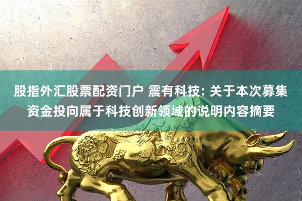 股指外汇股票配资门户 震有科技: 关于本次募集资金投向属于科技创新领域的说明内容摘要